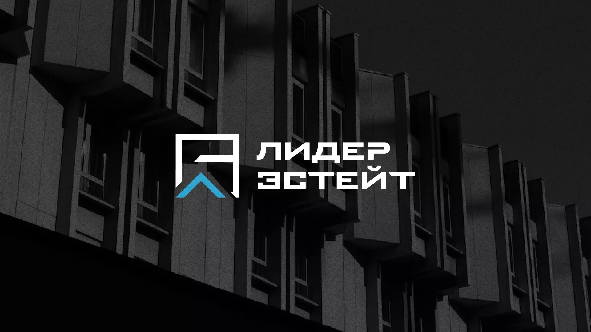 Разработка логотипа агентства недвижимости «Лидер Эстейт» в Александрове